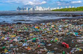 Inquinamento da plastica senza imballaggio: comprendere gli effetti ambientali