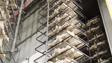 Innovazione tecnologica della pasta di legno modellata:-strumenti stampati in...